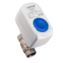 Кран шаровый с электроприводом Neptun Standart 230В 1/2" 